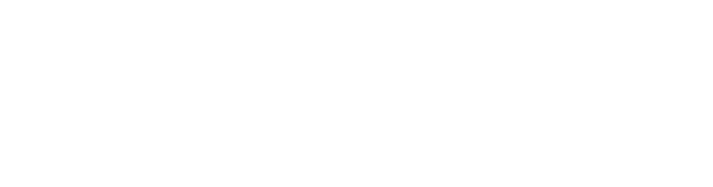 Aliados Consulting Services